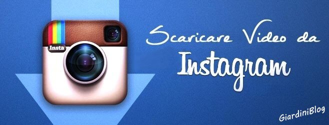 scaricare video da instagram online