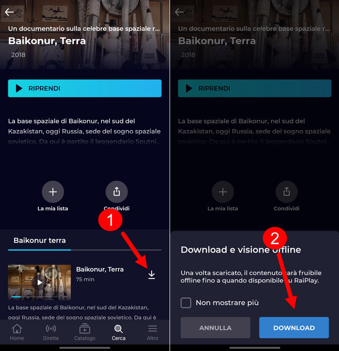 Scaricare Video Da Raiplay Con App