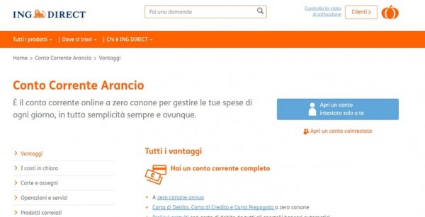 MIGLIOR CONTO ONLINE DI DICEMBRE 2024 | GiardiniBlog