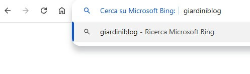 Cerca Con Bing Su Chrome