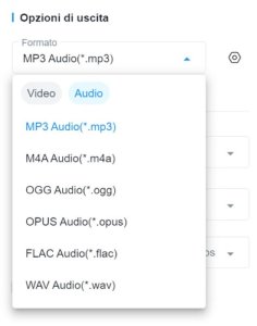 Mp3 Audio Opzioni Di Uscita Any Converter Video