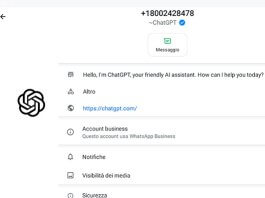 Chattare con ChatGPT su WhatsApp